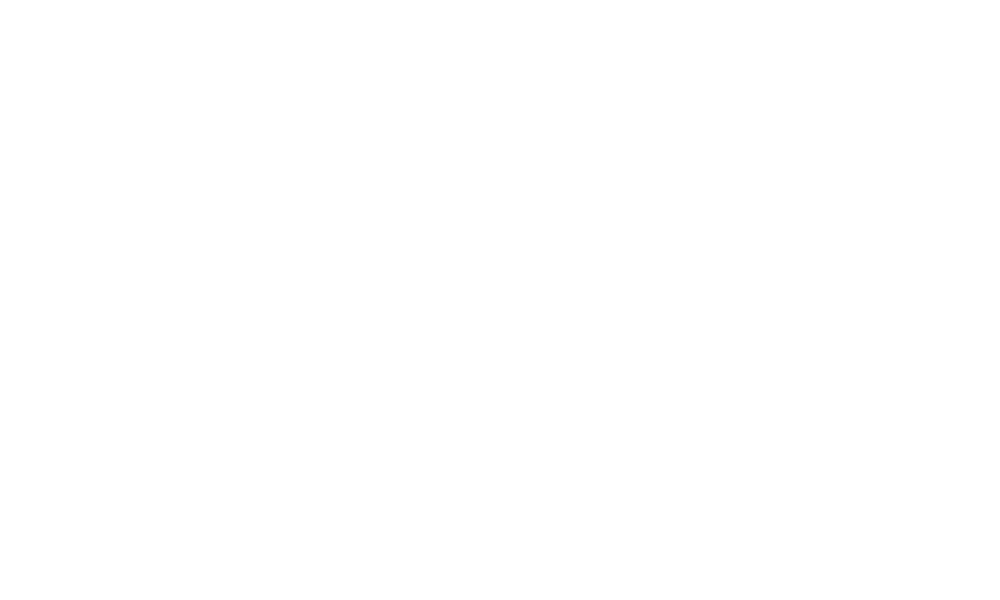 Lisansturk-Logo